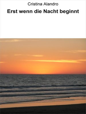 cover image of Erst wenn die Nacht beginnt